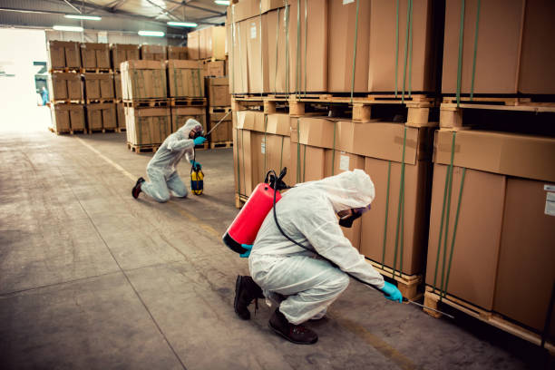 Best Mosquito Control Services  in Elgin, SC