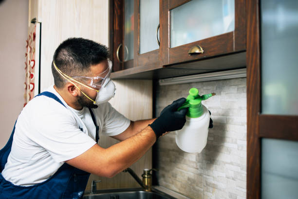 Pest Prevention Services in Elgin, SC