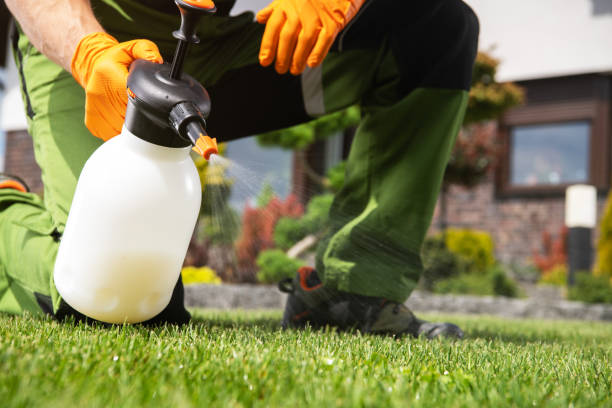 Wildlife Control Services in Elgin, SC