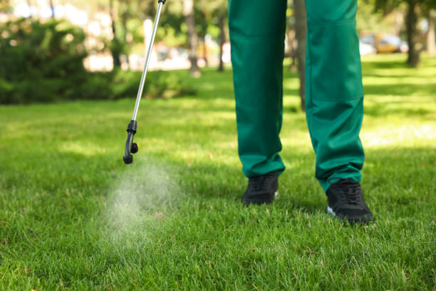 Best Insect Control  in Elgin, SC