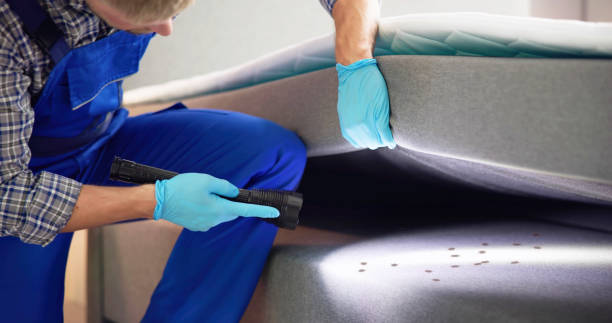 Best Pest Removal Services  in Elgin, SC