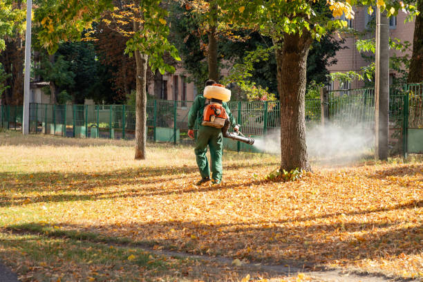 Insect Control in Elgin, SC