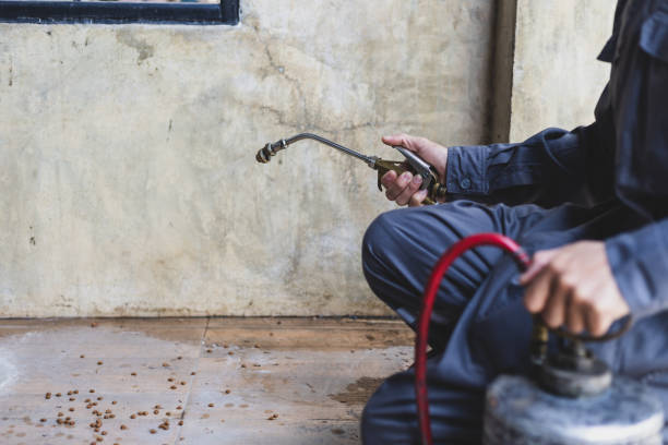 Best Pest Prevention Services  in Elgin, SC
